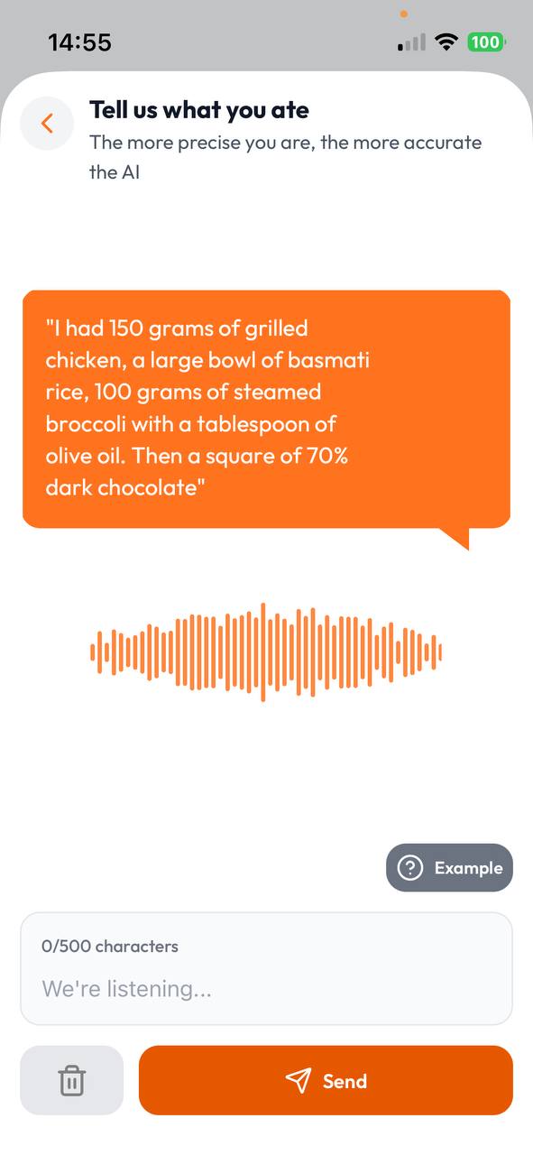 VoiCal voice input screen